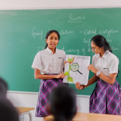 in house curriculum ekya